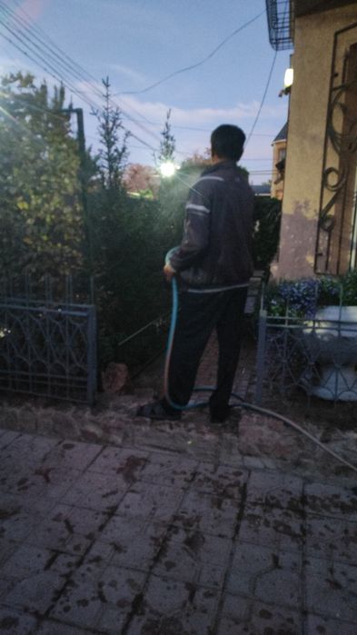 Сад озеленение газон