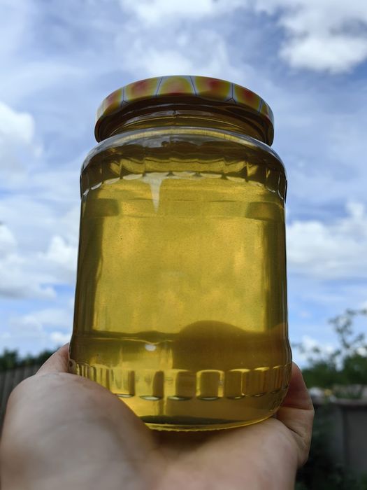 Miere salcâm, rapiță polifloră 2025