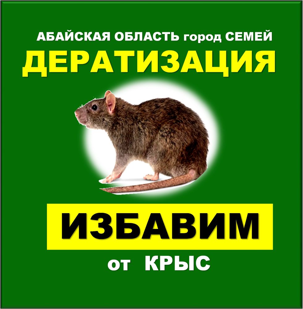 Уничтожение грызунов крыс мышей кеміргіштерді жою