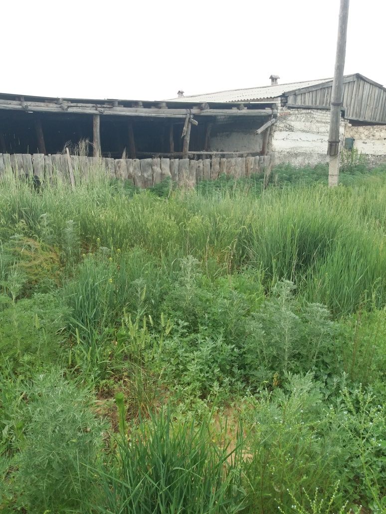 Продам базу бывшего к/х ,площадь 1.5 га ,свет 3 фазы