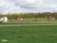 Teren intravilan in Balotesti, 800 mp, 38000 euro