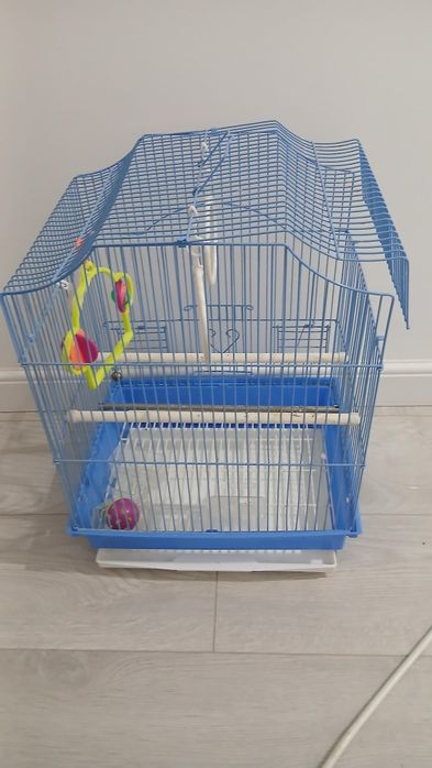 Vand cusca / colivie papagali cu accesorii