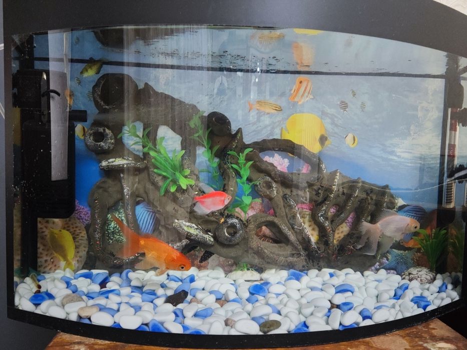 Akvarium 45 litr.