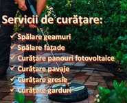Spalare Pavaje Țigla Fatade Garduri Panouri Timisoara