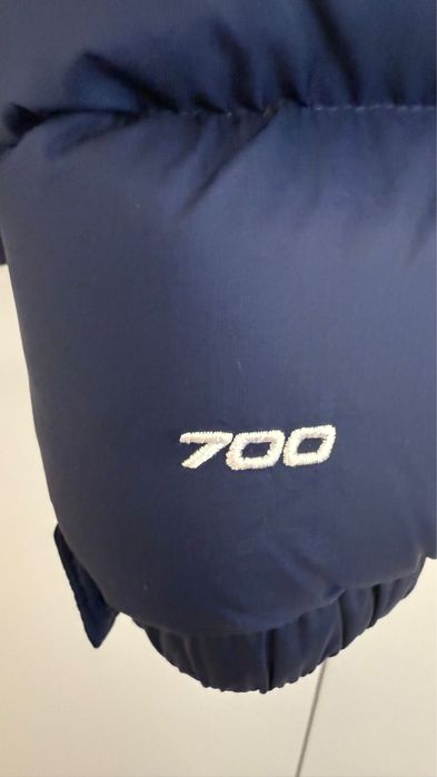 Geaca the north face