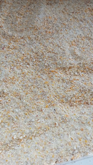 Uruială porumb și grau