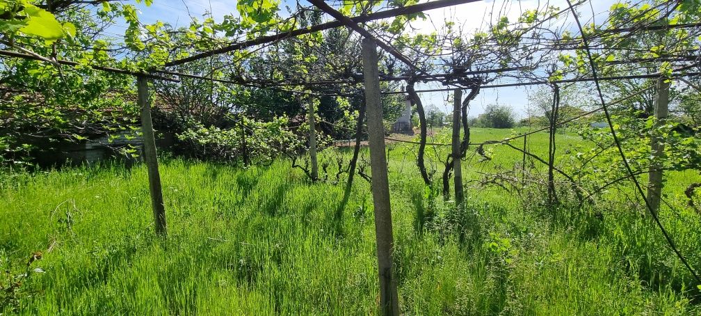 Имот в село Голям Чардак , Пловдивско