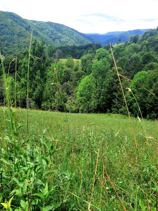 Izbucul  Cernei,Gorj