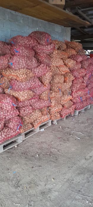 Cartofi pentru animale