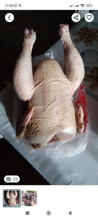 Продам тушки молодых петухов.