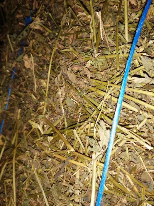 Vând baloti de Fan și lucerna