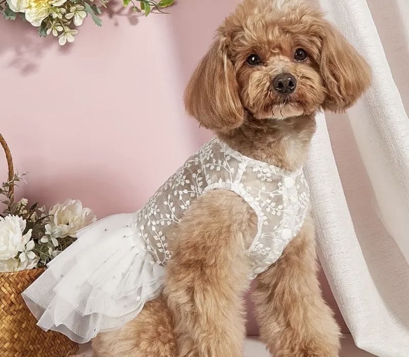 Рокля за куче, сватбена, празнична рокля, дреха за куче, дребна порода