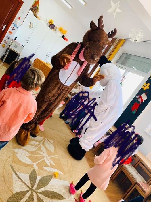 Costum Ren - Craciun