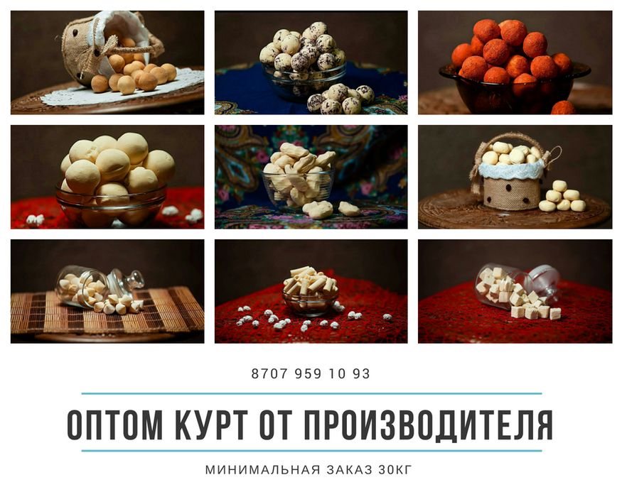 Курт оптом из Шымкента