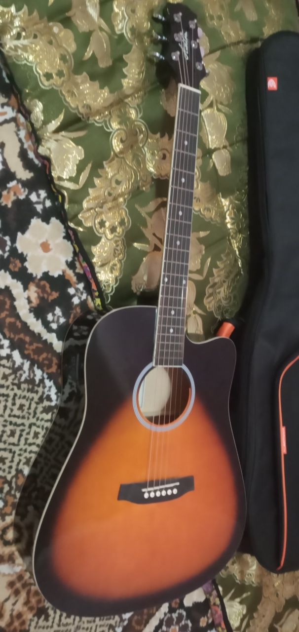 Ashton firmasi Akustik gitara sotiladi