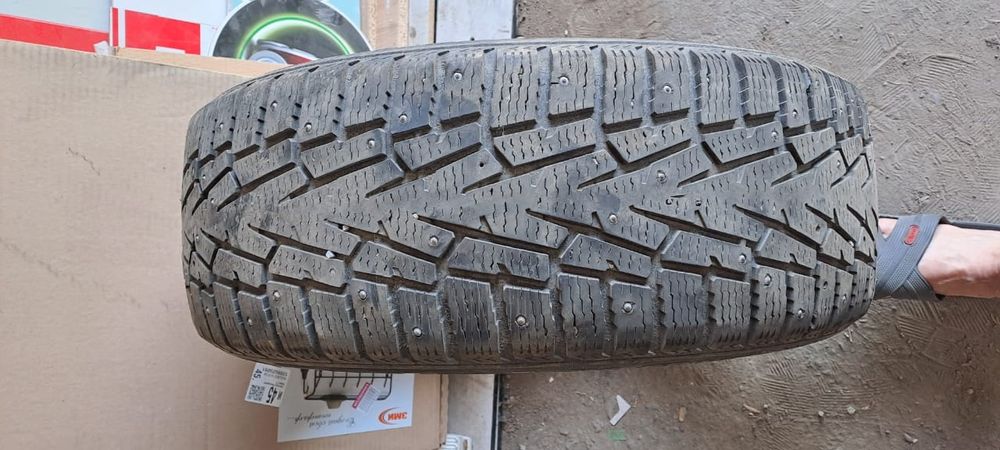 Продам резину шипованную