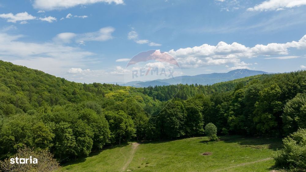 Teren de vânzare – Colonia 1 Mai, 5.310 mp, ideal pentru investiție