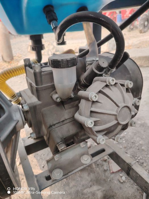 Boglarga dori sepgich