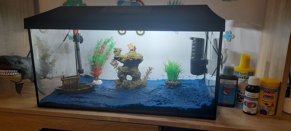 Acvariu cu accesorii pentru pesti