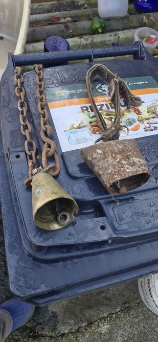 plug, grapa, marcator, prasitoare pentru cal