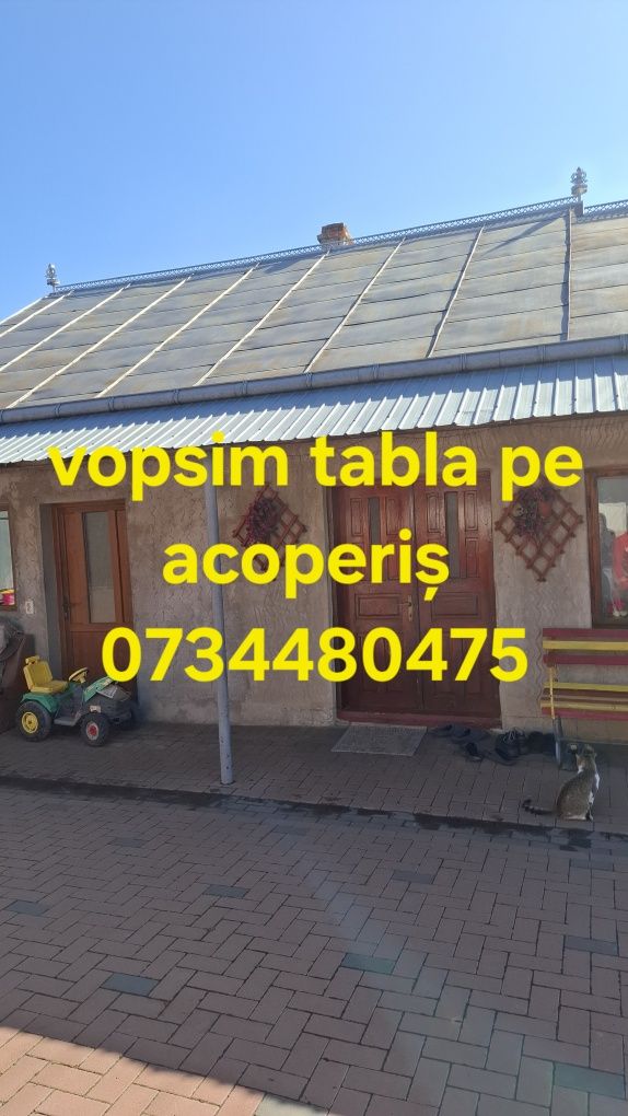 Vopsim tabla pe acoperiș