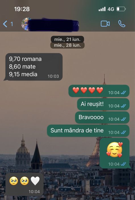 Limba română - meditații