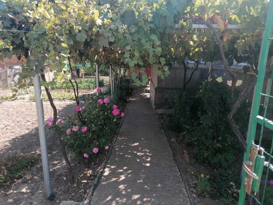 Отлична къща на село!С възможност да се ползва веднага!