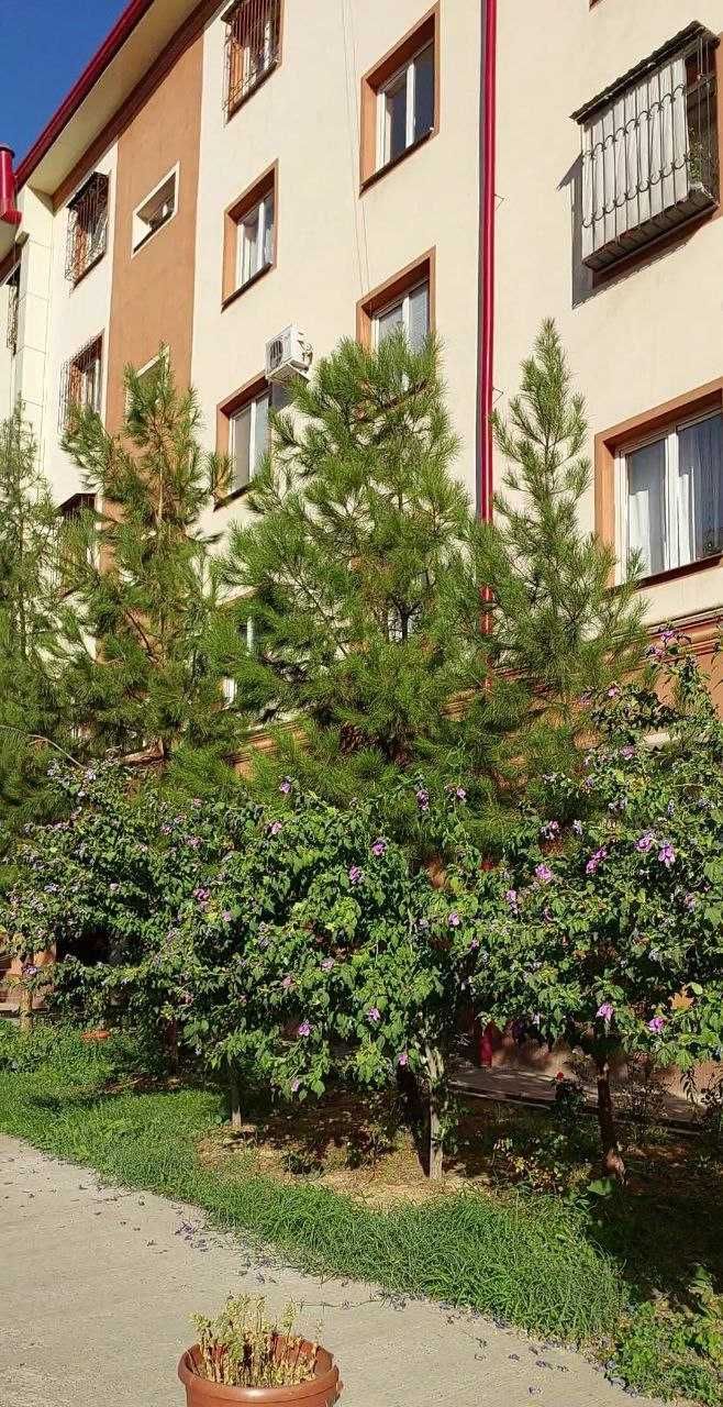 Бизко к центру трешка 70 м², евро ремонт, Obod makon, супер цена`