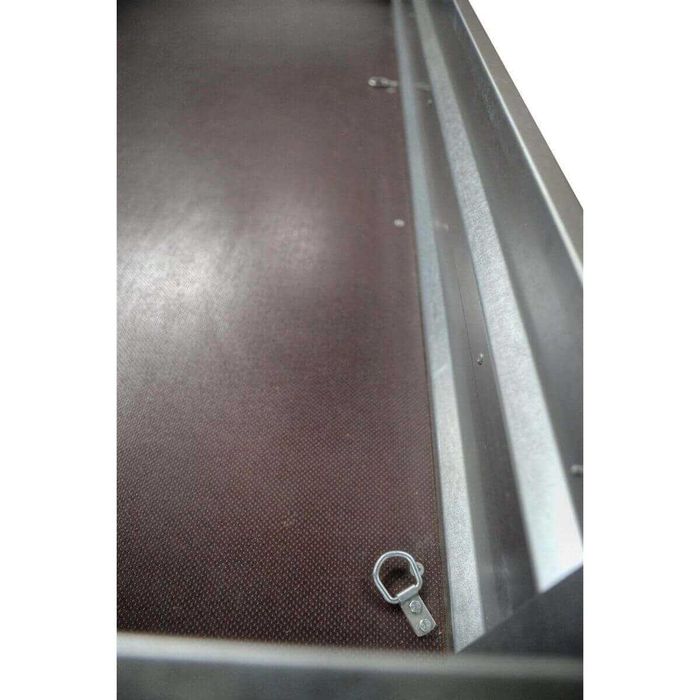 Remorca Profesionala ATV Faro Tractus cu interior 250*140 cm RAR efect