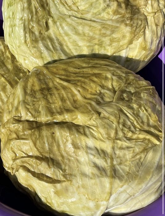 Vand muraturi , varza murata , peoeni murati