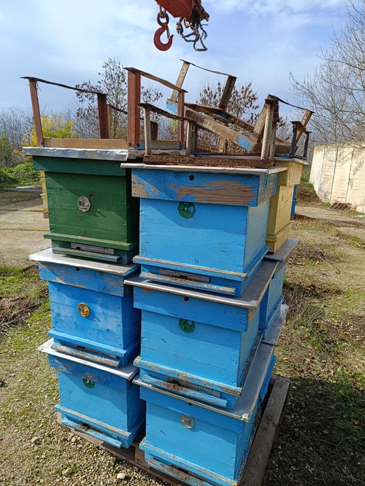 Пчелни кошери с магазини