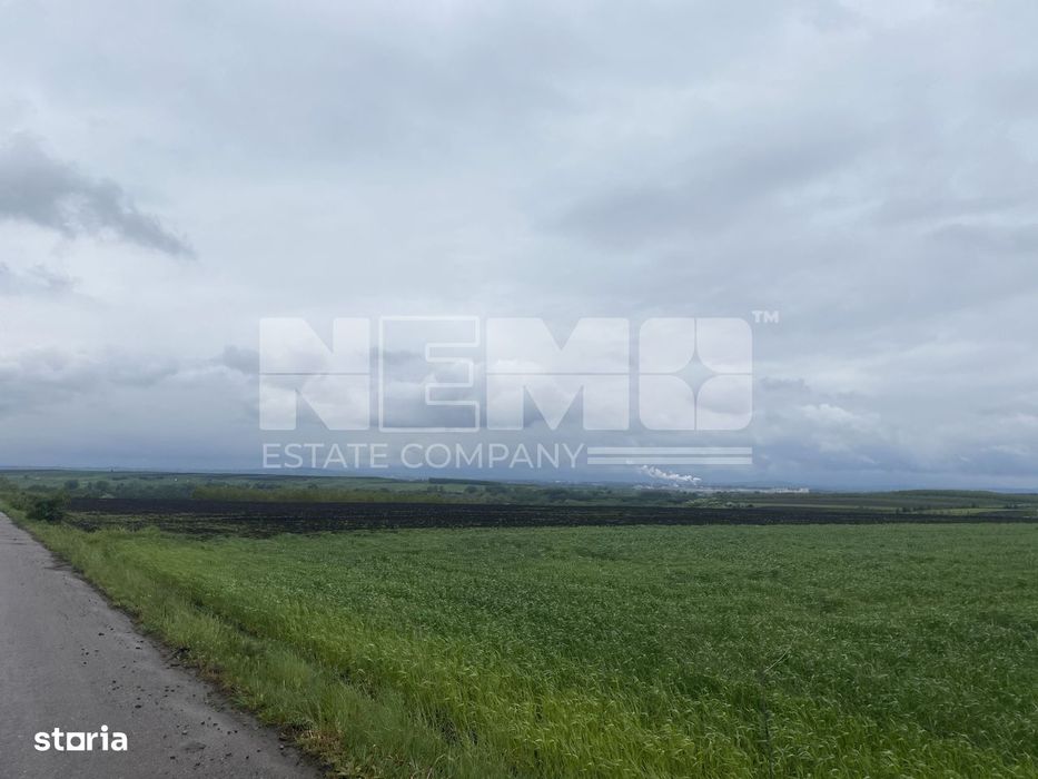 Teren Extravilan | Dornesti | 14.100 Mp