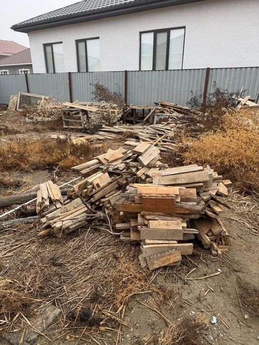 Ағаштар, ит үйі, отынға ағаштар. Тақтайлар