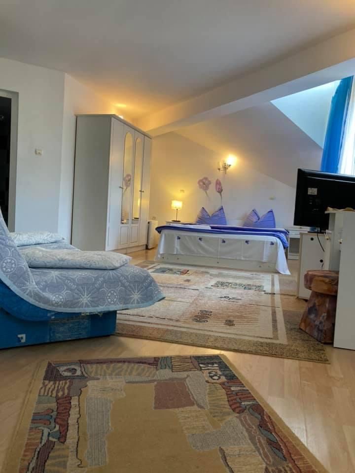 De inchiriat integral vila cabana pensiune cazare l