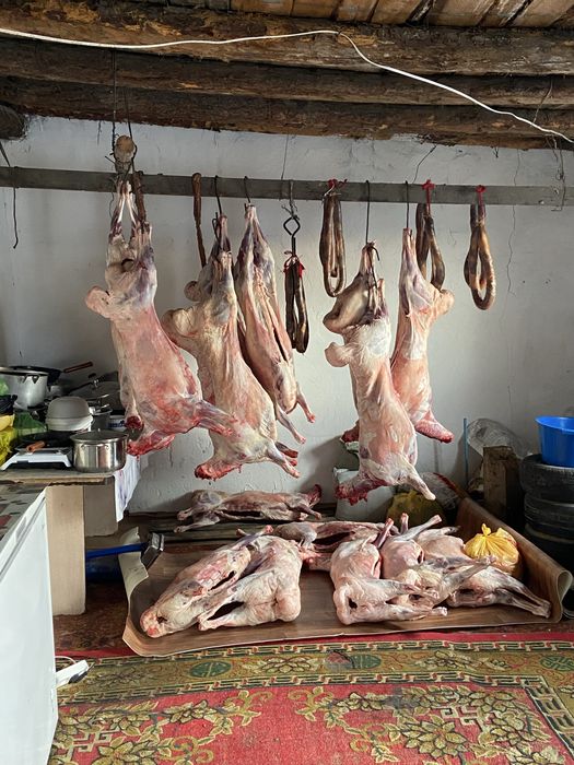 Қой етін аламын 2500 тг