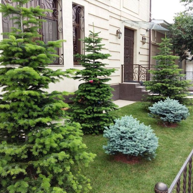 Archalar. Gazonlar. Gullar. Landshaft dizayn