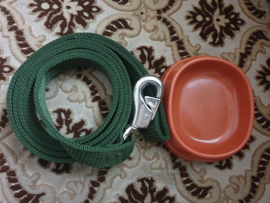 Поводки брезентовые и миска