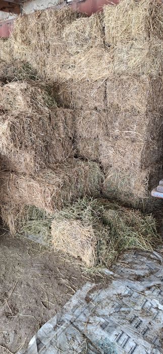 Беда ва хашак прес бор. Огир катта прес.