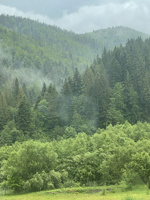 Sauna + ciuabr închiriere Valeni Suceava