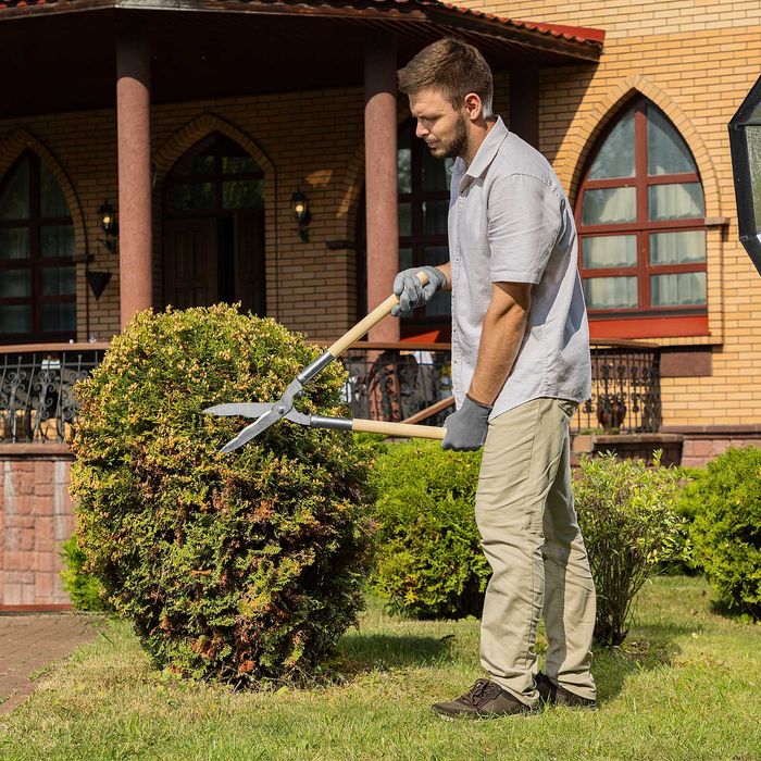 Кусторез, 650 мм, волнистые лезвия, деревянные рукоятки ( Россия )