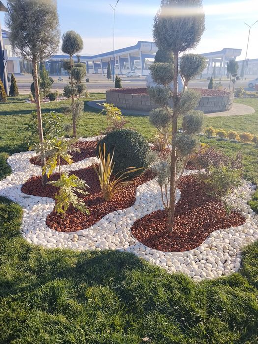 Savdoning lashaf dizayin qilish