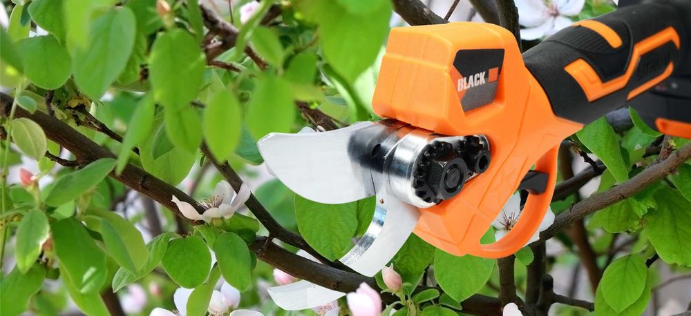 Foarfeca electrica taiat vita de vie crengi 2 baterii 21V 2Ah (53820)