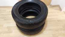 Michelin Pilot Alpin 5 255/55/R18