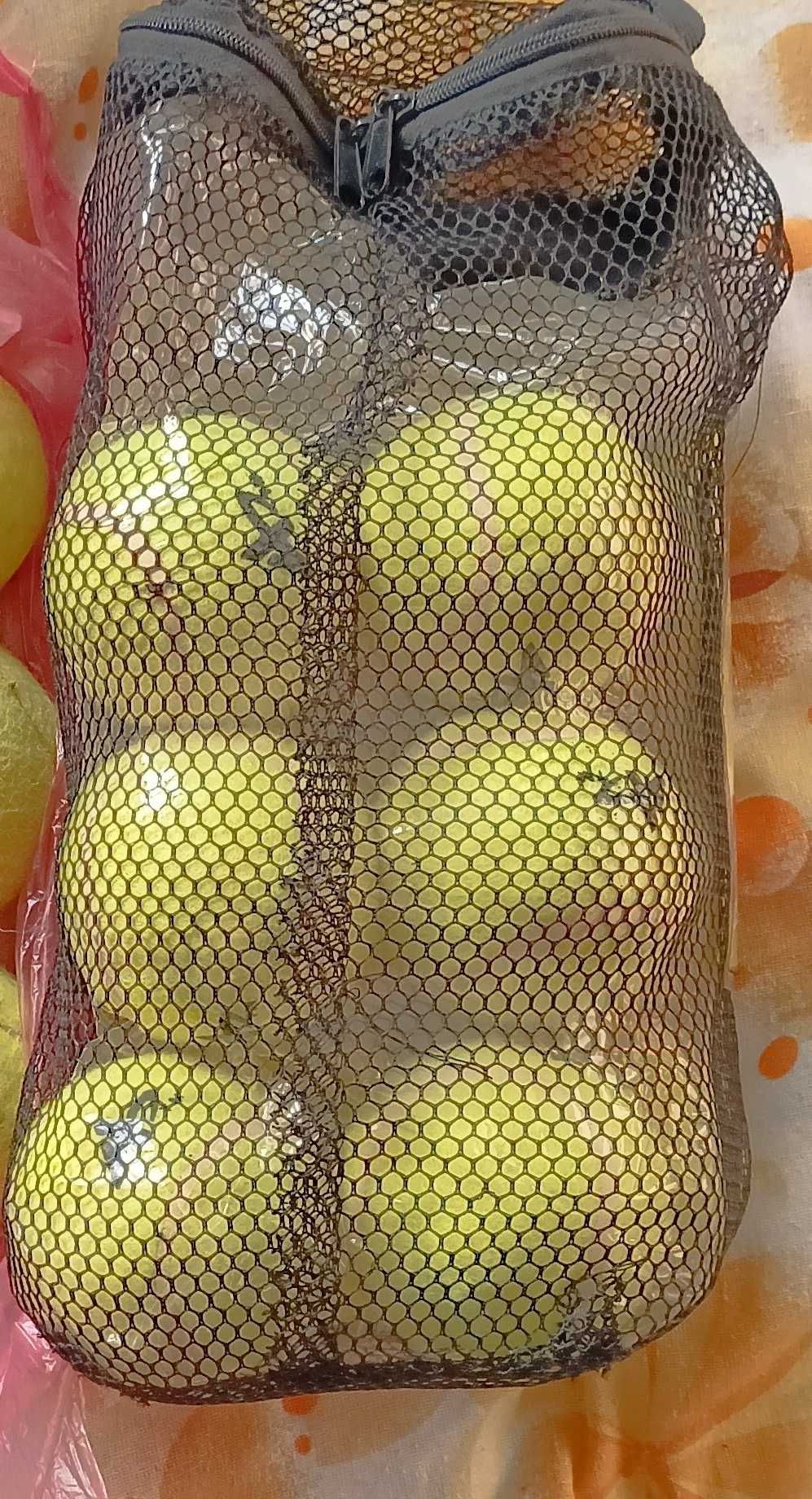 Ракети за тенис Wilson 2 бр. С чанта и топки