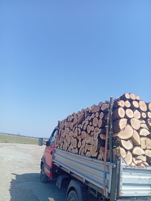 Aducem lemne de foc la domiciliu stejar fag