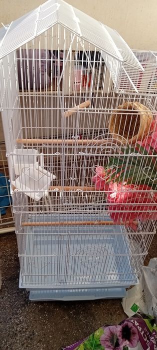 Клетка за птици малко използвана