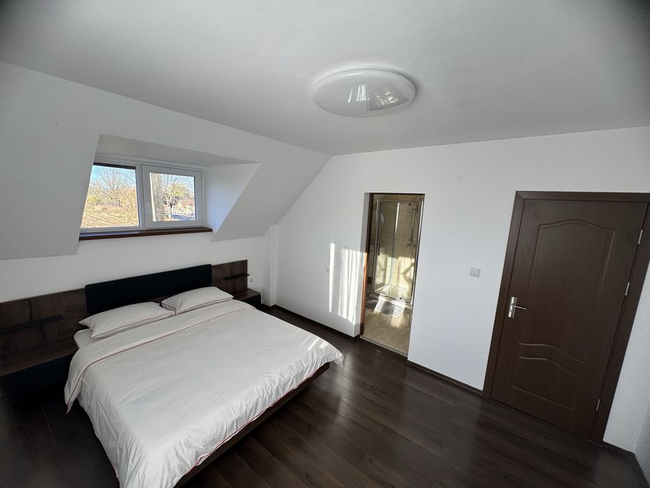 Vila revelion craciun