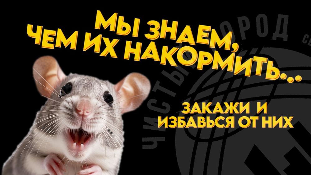 ДЕРАТИЗАЦИЯ по договору