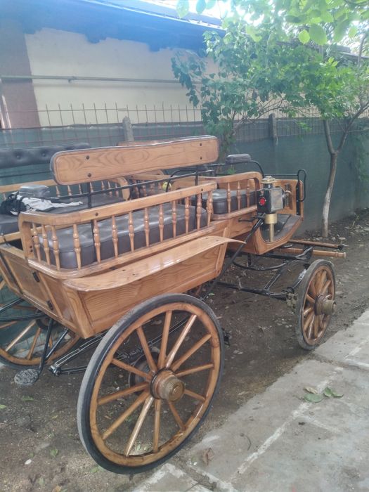 Trasura cai fabricatie olanda