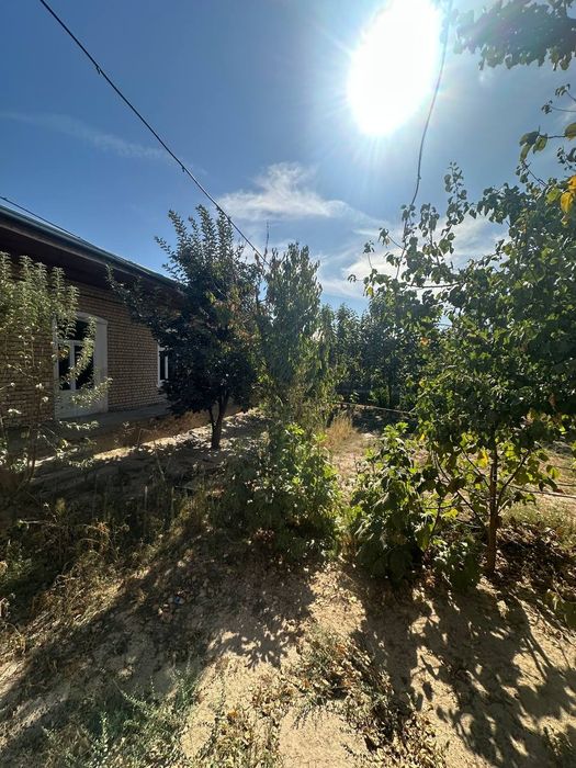 Назарбек Постидан 3-4 км 11 сотик 9 та хона